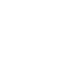 css-logo-white